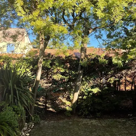 Villa Les Mimosas à Saint-Trojan-les-Bains Extérieur photo
