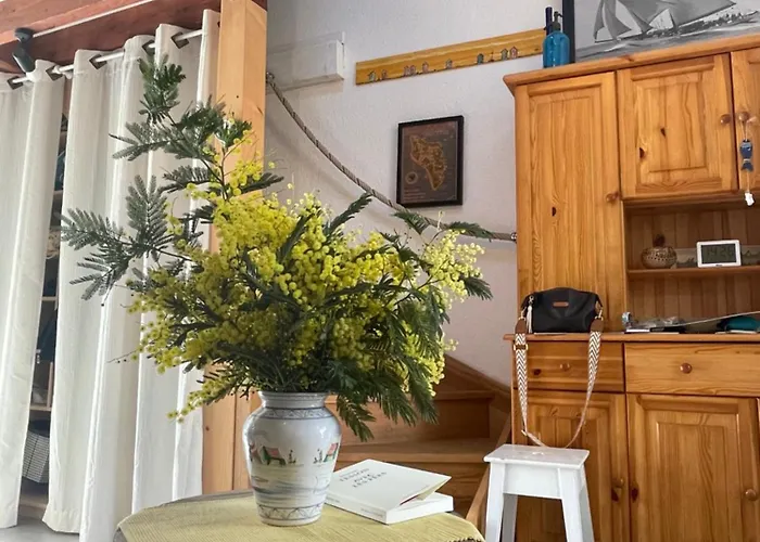 Les Mimosas